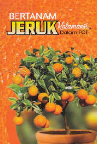 Bertanam Jeruk Kalamansi
